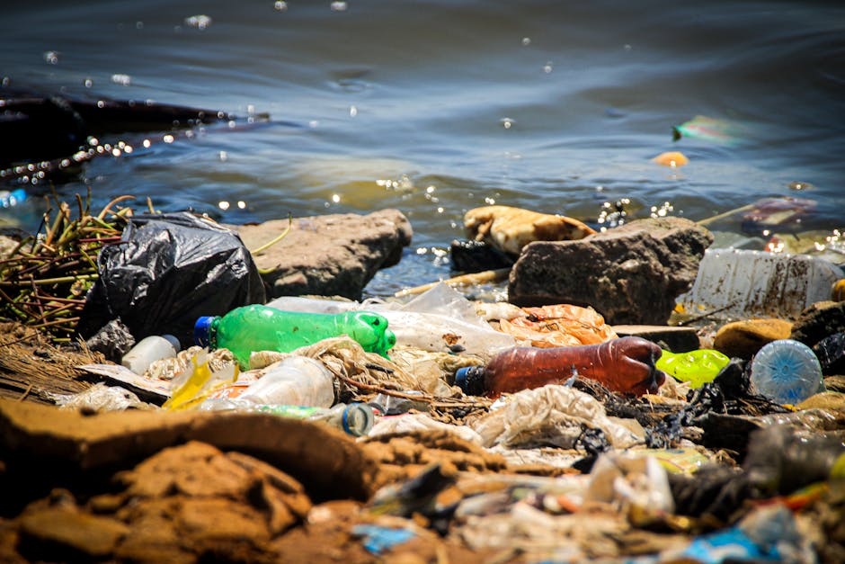 A shoreline scene showing a mixture of plastic waste and debris scattered along a rocky edge next to a body of water. Visible items include various plastic bottles in green, brown, and clear colors, s